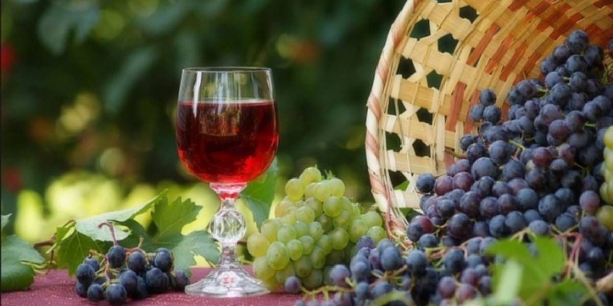 Рецепт вина из Изабеллы в домашних условиях, креплёное вино