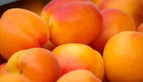 абрикосы для компота