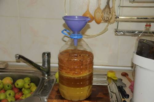 приготовление браги из яблок для кальвадоса