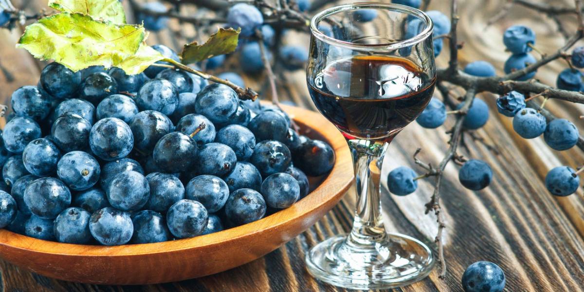 терновое вино рецепт в домашних условиях