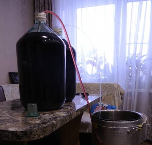 фильтрация и снятие с осадка вина из калины