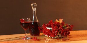 вино из калины рецепт в домашних условиях