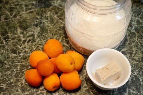 ингредиенты для абрикосовой браги
